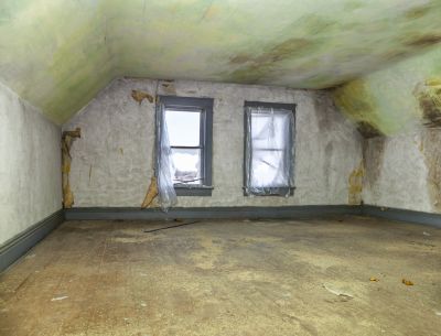 Attic Mold - Mold Remediation Mchenry County, Illinois