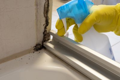 Bathroom Mildew Removal - Mildew Removal San Diego, California