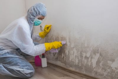 Commercial Mold Remediation - Mold Remediation Mchenry County, Illinois