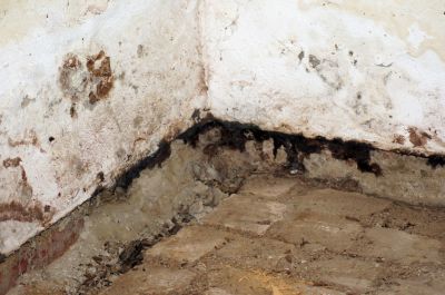 Mold In Basement - Mold Remediation Mchenry County, Illinois
