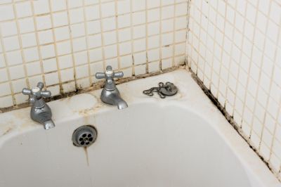 Mold In Bathroom - Mold Remediation Mchenry County, Illinois