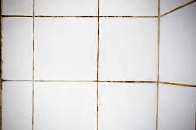 Mold In Shower Grout - Mold Remediation Mchenry County, Illinois