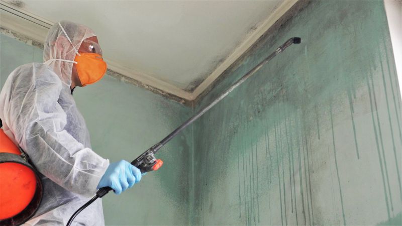 Attic Mold Remediation in Boca Raton, FL