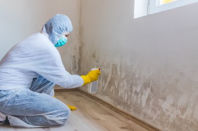 Basement Mold Remediation in Boca Raton, FL