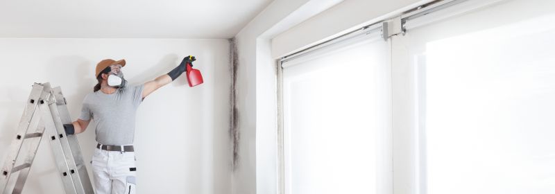 Basement Mold Remediation in Boca Raton, FL