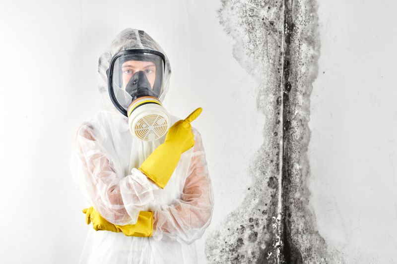 Black Mold Inspection