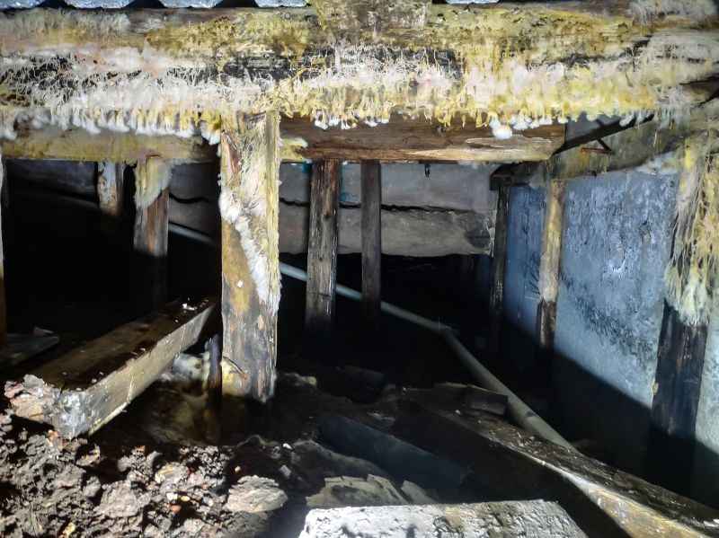 Crawl Space Mold Removal in Broward County, FL