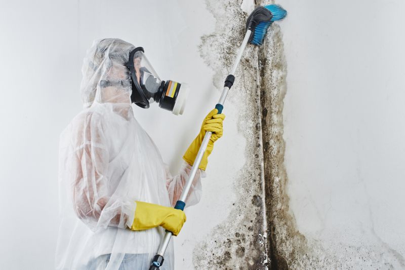 Crawl Space Mold Removal in Broward County, FL