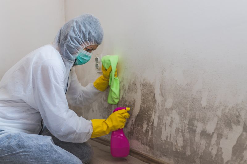 Crawl Space Mold Removal in Broward County, FL