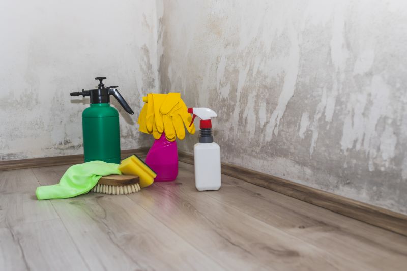 Crawl Space Mold Removal in Broward County, FL