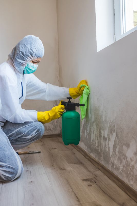 Crawl Space Mold Removal in Broward County, FL