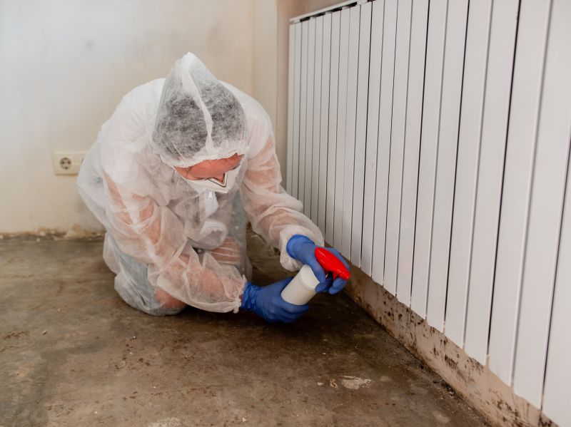 Crawlspace Mold Remediation in Essex County, NJ