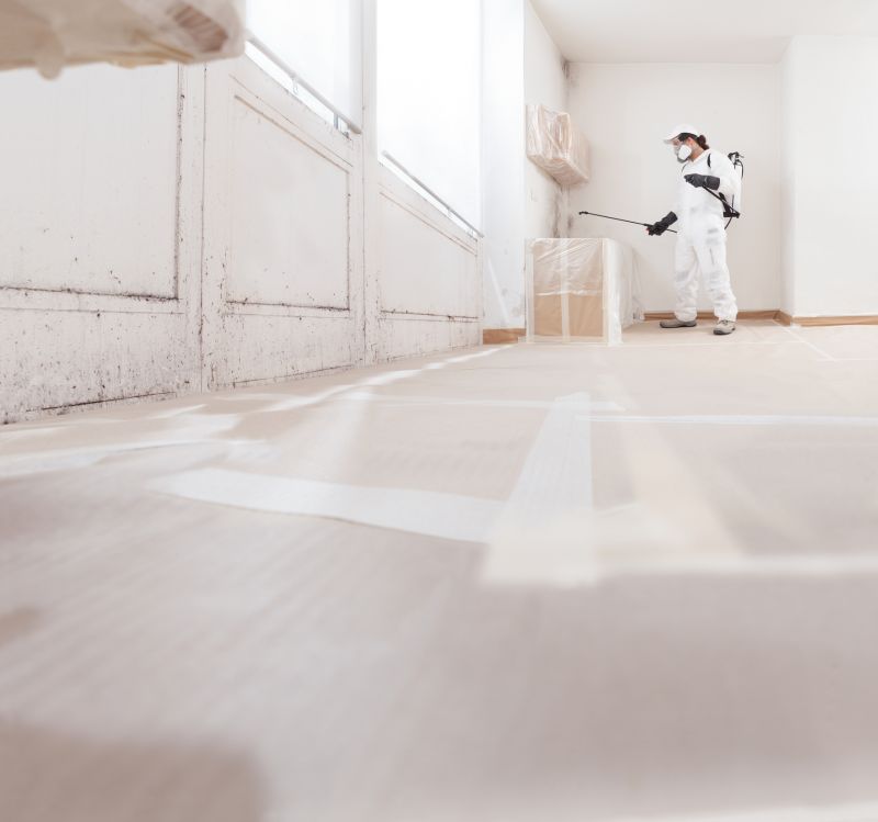 Crawlspace Mold Remediation in Fort Worth, TX