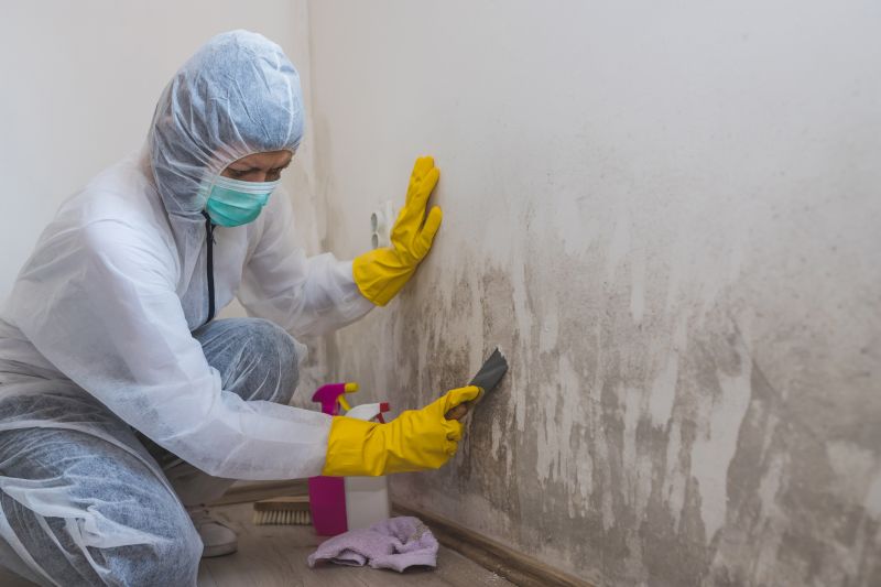 Crawlspace Mold Remediation in Fort Lauderdale, FL