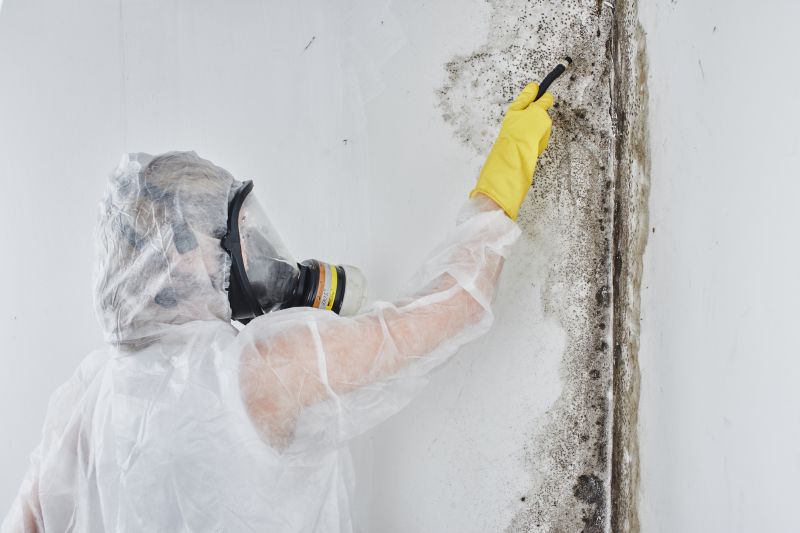 Mold Removal detail