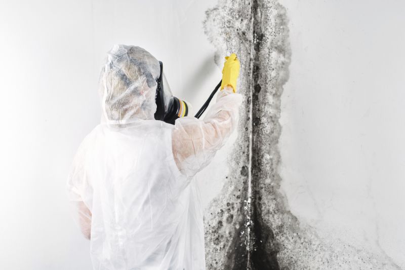 Garage Mold Remediation in Dallas, TX