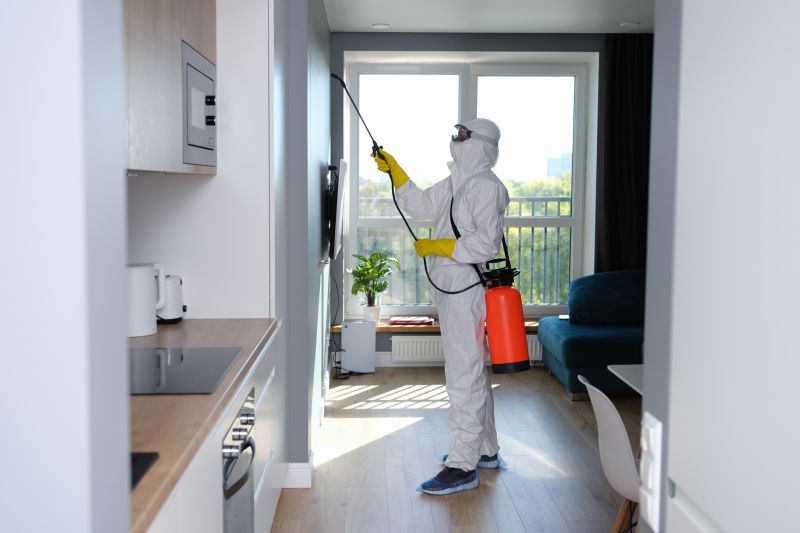 Mold Abatement Service