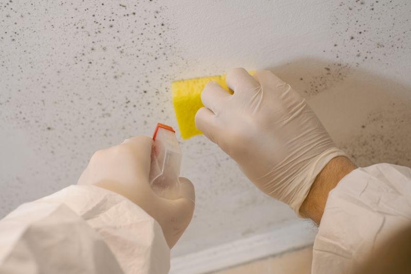 Mold Cleanup Service in Fort Lauderdale, FL