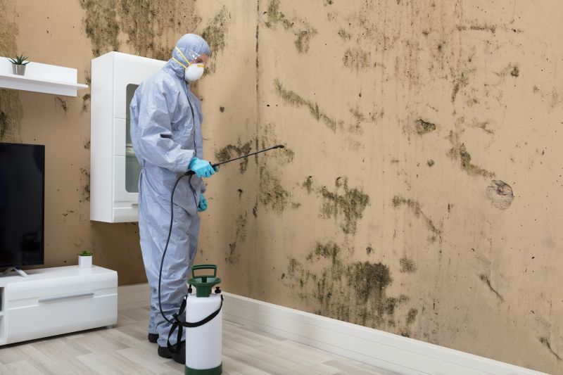 Mold Control in Fort Worth, TX