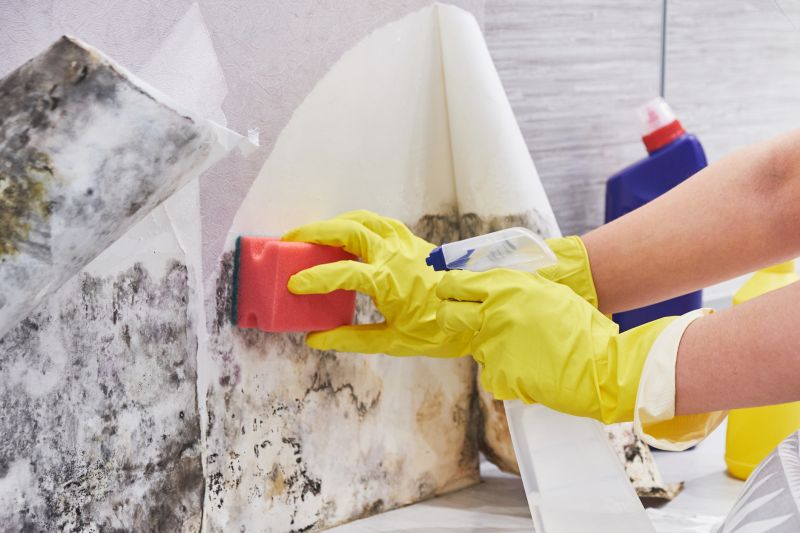 White Mold Mitigation in Essex County, NJ