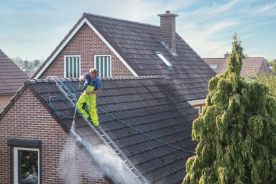 Roof Mold Removal - Mold Remediation Mchenry County, Illinois