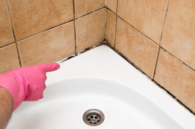Shower Mold - Mold Remediation Mchenry County, Illinois